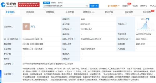 榮耀手機成立軟件公司，進軍互聯網游戲與信息服務